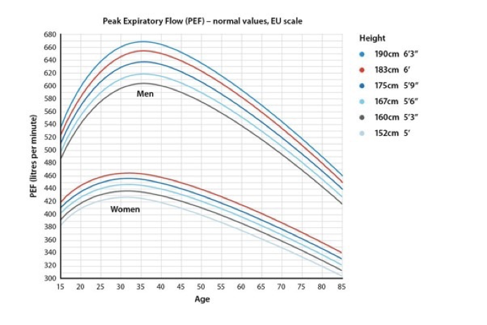 <p>Height, age, sex </p><p>always measure best of 3 to compare baseline</p>