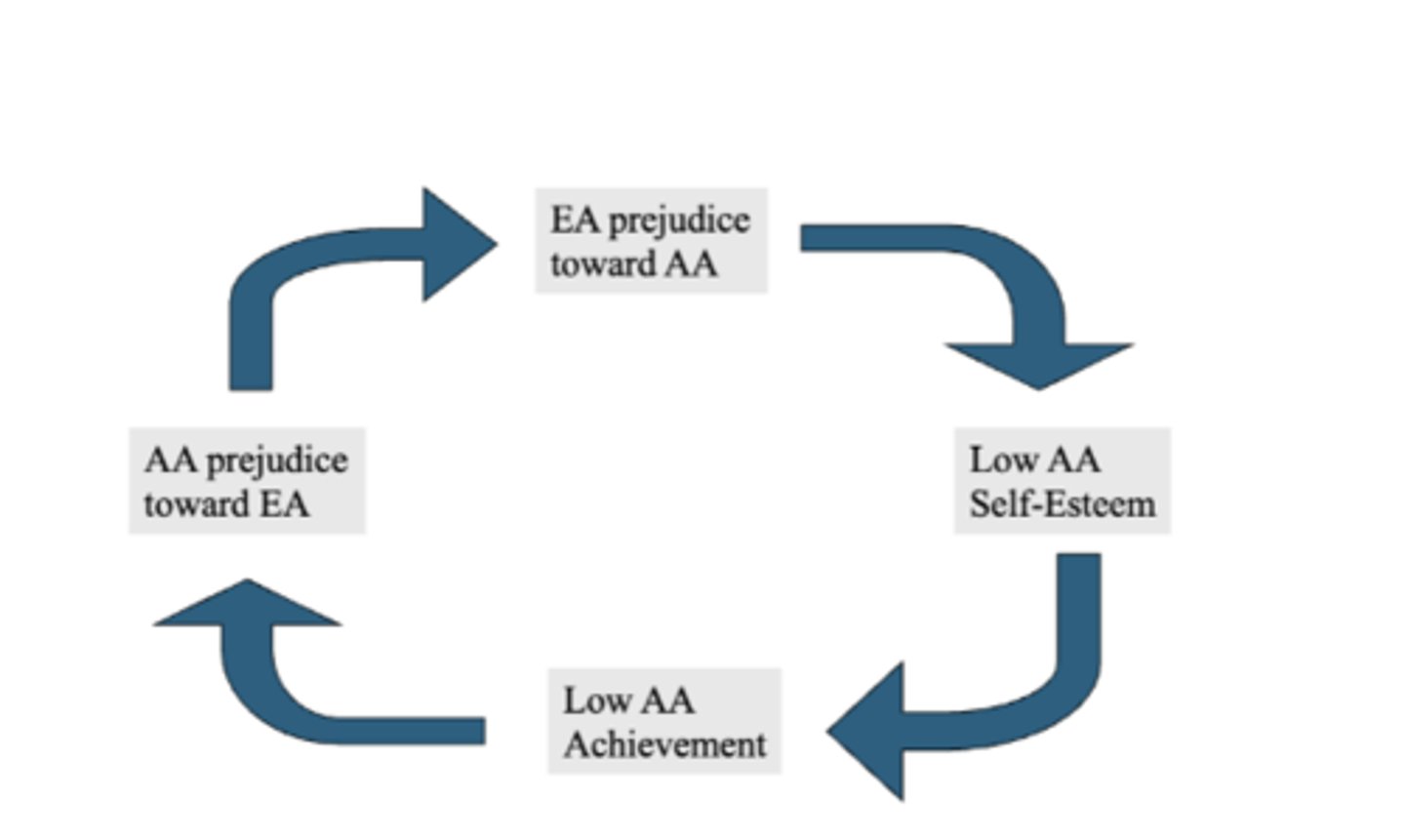 <p>from Thurgood Marshall: segregation cycle- white predjuice toward black people = low black self-esteem = low black achievement = reverse predjuice and repeat</p>