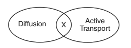 <p>The diagram below represents two processes that occur in organisms. A characteristic represented by X is common to both of these processes.</p><p></p><p></p><p>A characteristic that the two processes have in common is that each process \n</p>