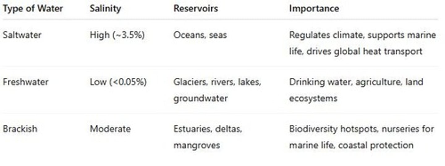 <p>Mix of salt and freshwater; found in estuaries, deltas, mangroves, coastal wetlands.</p>