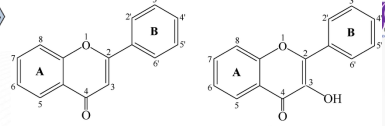 <p>[Phenolic Compounds]  Differentiate Flavones from Flavonols</p>