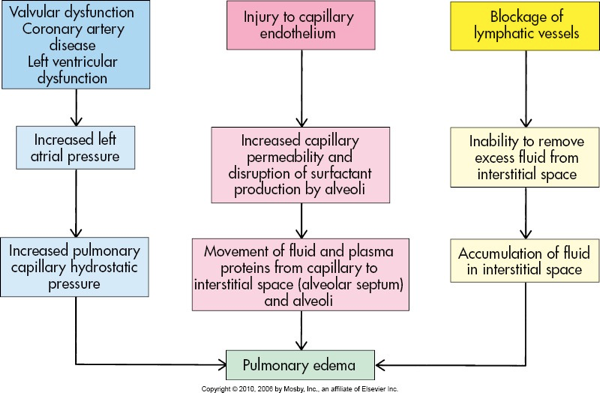 <p>What does this refer to</p><ul><li><p>Fluid overload and hypoalbuminemia</p></li><li><p>↓ Oncotic pressure → fluid transudation</p></li><li><p>Often mixed mechanism with cardiac involvement</p></li></ul><p></p>