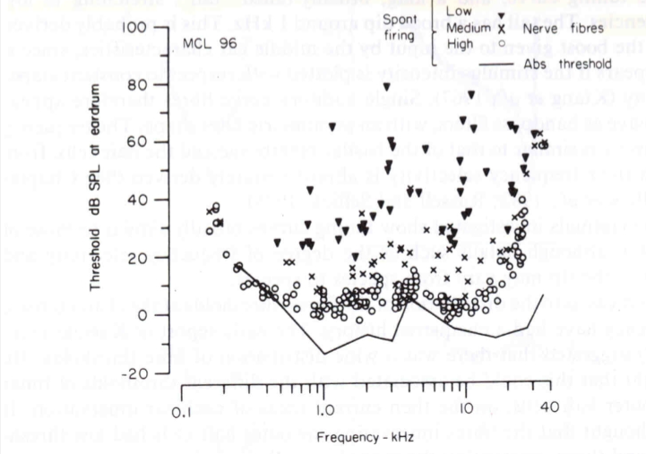 <p>baseline electrical activity of neurons, which occurs without external stimulation</p><ul><li><p>Low, Medium, High</p></li><li><p>Higher spontaneous rate = lower threshold (more sensitive to quiet sounds)</p></li></ul><p></p>