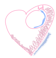 <p>striated = protein lines</p><p>branched cells</p><p>thicker left  side > overcome resistance</p><p></p><p>dark pink layer</p>