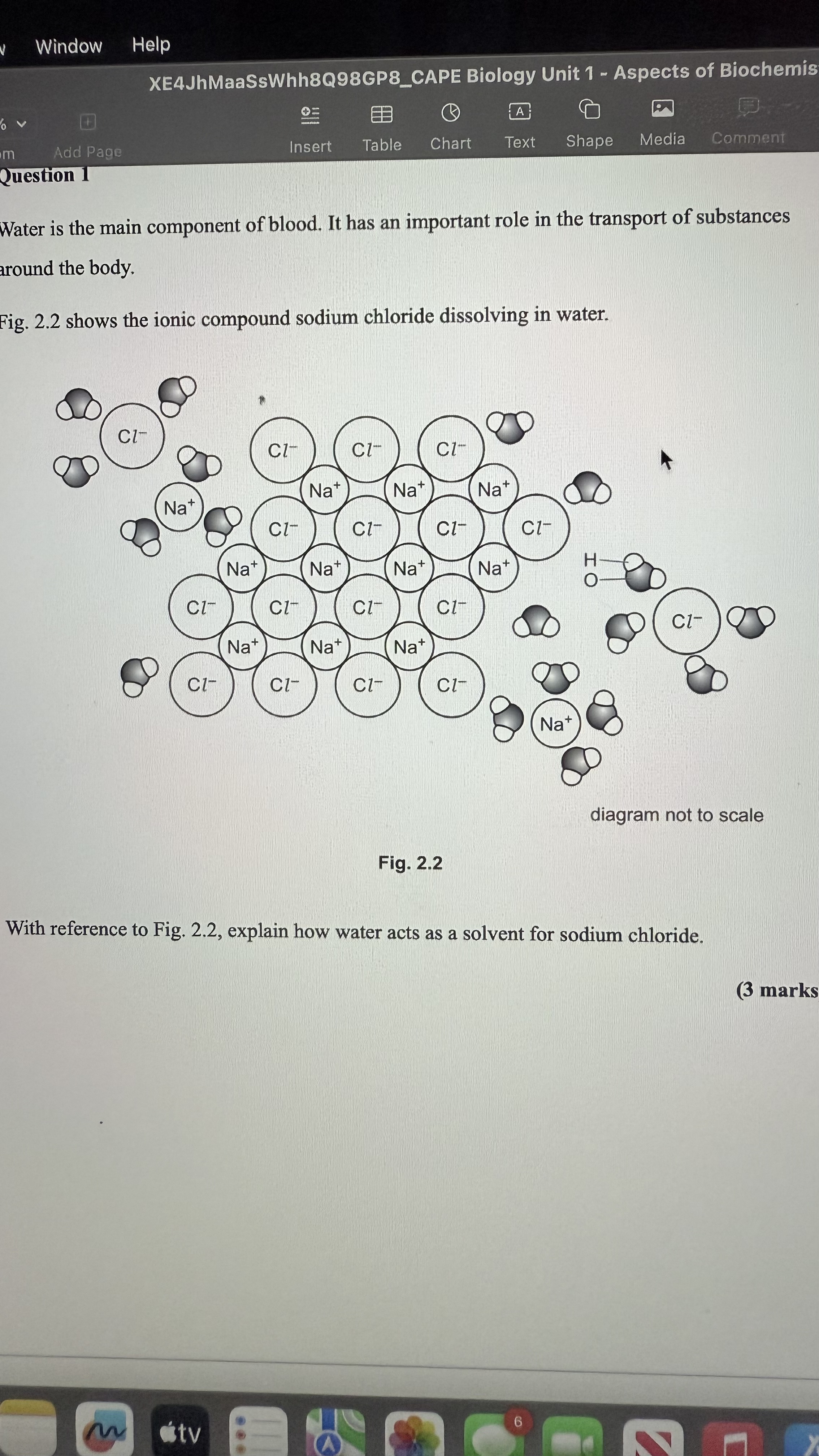 <p>Explain how water acts as a solvent for sodium chloride.</p>