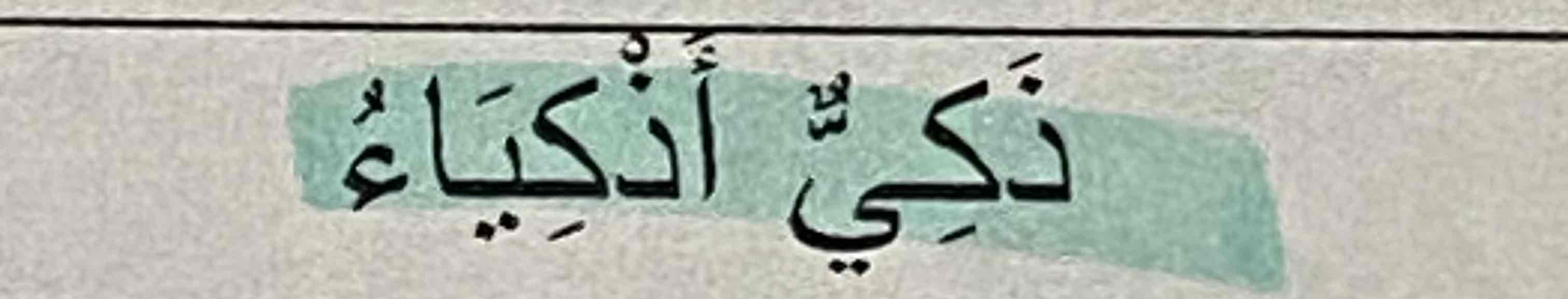 <p>Arabic</p>