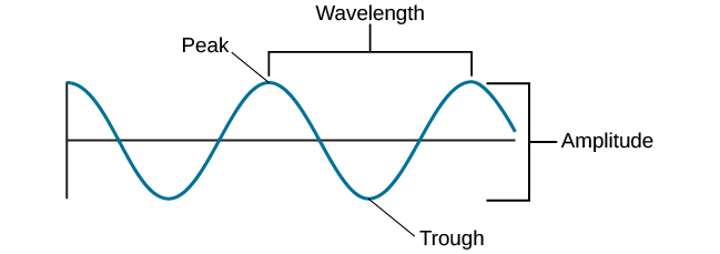 <p>how high the peak is or how low the trough is to the line that the wave is on</p>