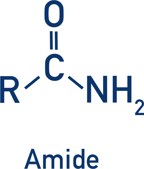 <p>An amine next to a double bonded oxygen</p>