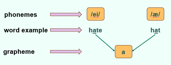 <p>-in English, different phonemes can map to the same grapheme</p>