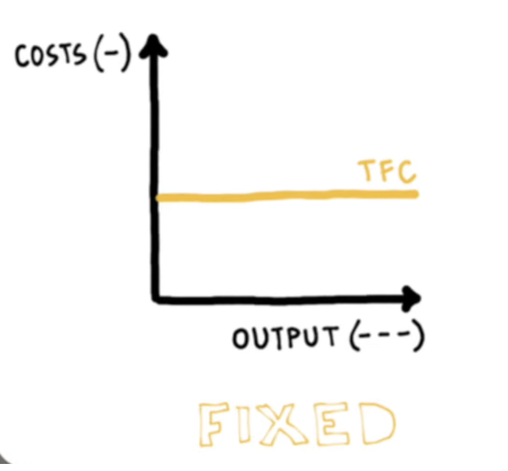 <p><strong><u>costs that do not change depending on the level of output or quantity. have to be paid irrespective of how much is produced or sold.</u></strong></p><ul><li><p>rent payments</p></li><li><p>salaries to management</p></li><li><p>internet</p></li></ul><p>*sometimes referred to as total fixed costs (TFC)</p>