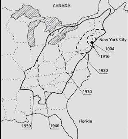 <p>Chestnut (Redwoods of the East) Blight</p><p>importation of diverse ornamentals (1876)&nbsp;</p><p>America in 1904 in New York</p><p>wiped out nearly 4 billion</p>