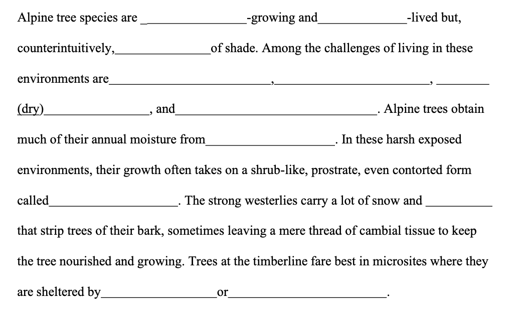 Fill in the blanks 