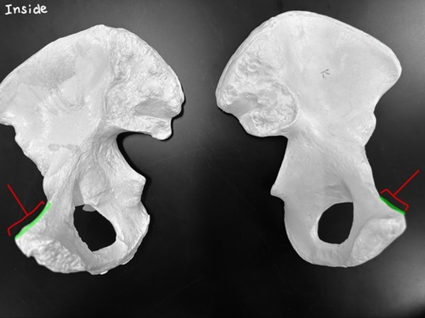 knowt flashcard image