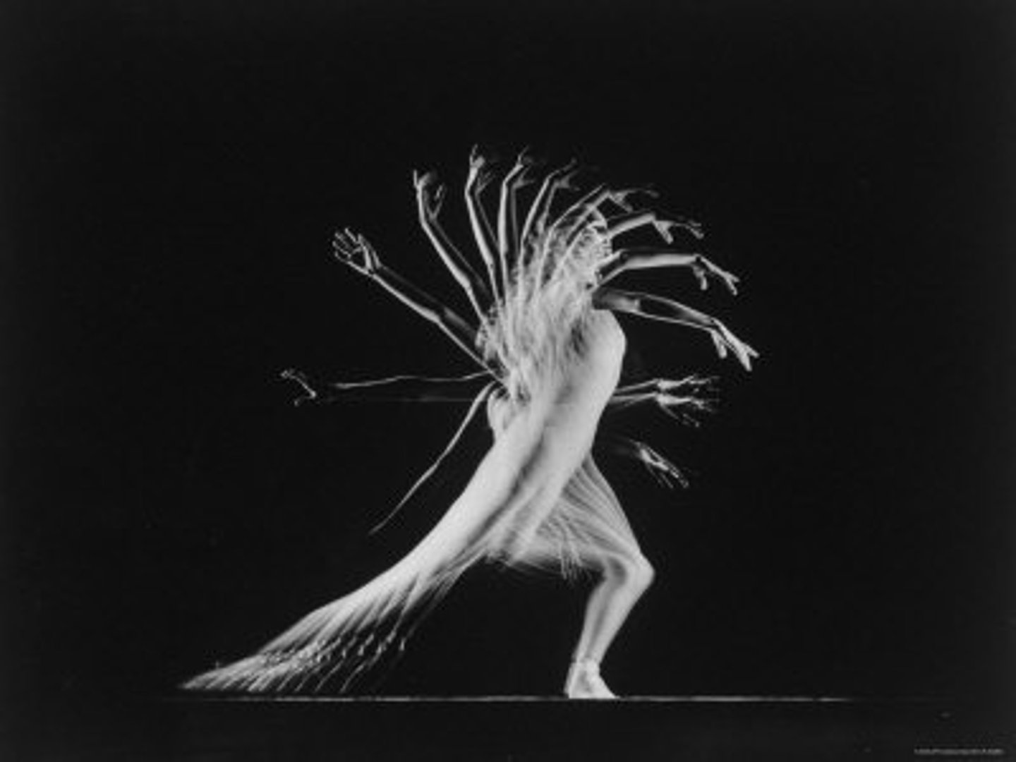 <p>movement</p>