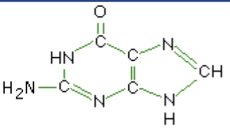 <p>What macromolecule is this?</p>