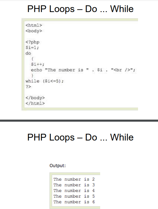 <p>do...while loop</p>