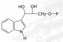 <p>[SHIKIMIC ACID PATHWAY] In tryptophan biosynthesis (Long version) what are the intermediates of step 5</p>