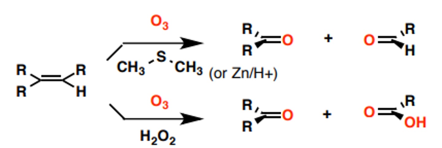 <p>Ozonolysis</p><p>Alkene to 2 carbonyls (Aldehydes)</p>