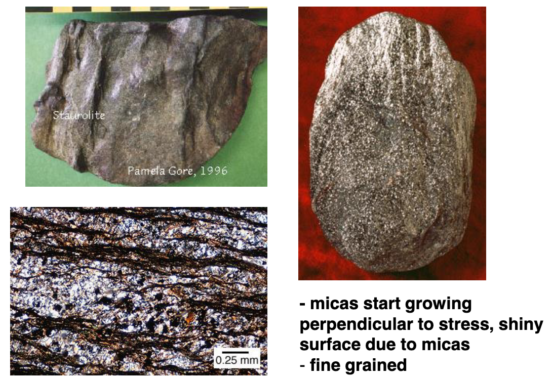 <p>micas start growing<br>perpendicular to stress, shiny surface from micas<br>fine grained</p>