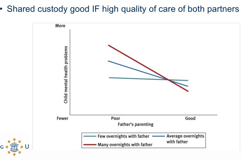 <p>Adequate financial support</p><p>Good parenting by both parents</p><p>Minimal parental conflict</p><p>Additional social support</p><p>Minimal other changes</p><p>Personal resources - intervention programs</p>