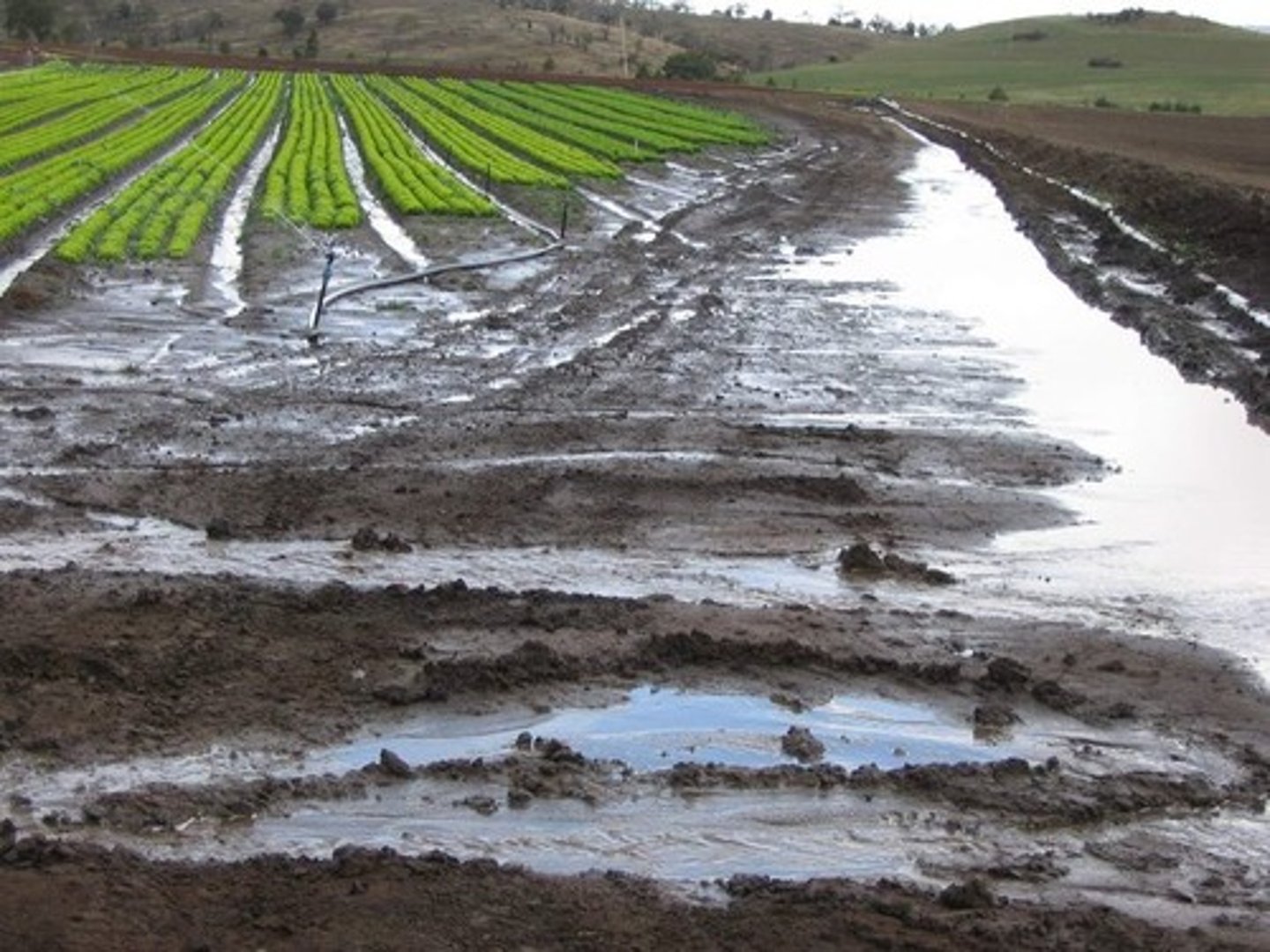 <p>= an excess of input and not enough percolation and/or evapotranspiration to remove it</p>