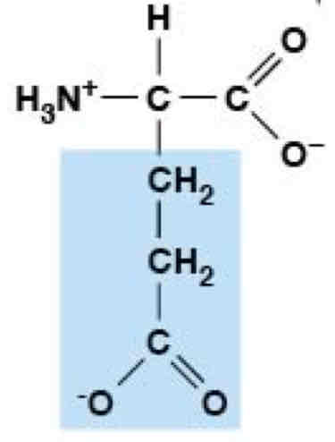 <p>Polar, Charged (Hydrophobic)</p>