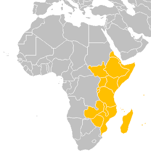<p>What region is this?</p>