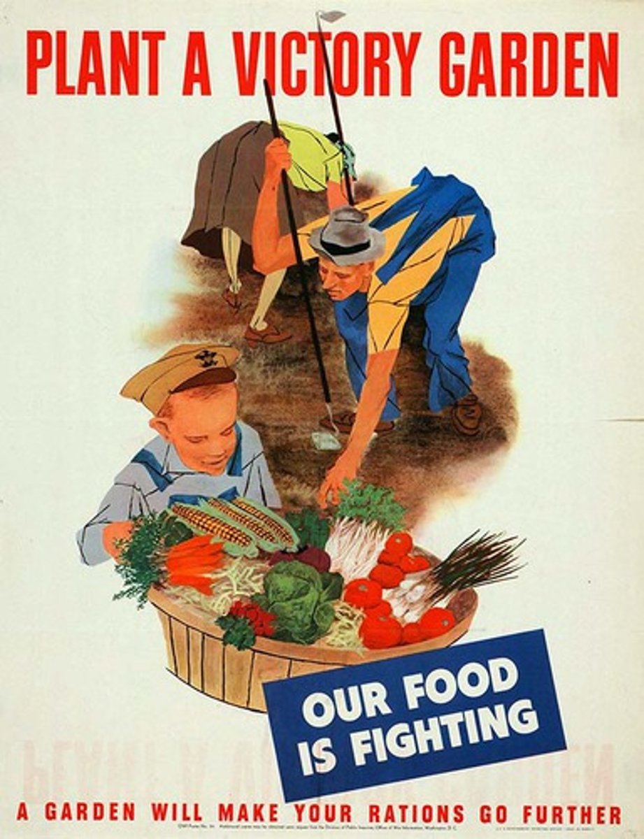 <p>During WWI the government did not require rationing but encouraged it with slogans such as Meatless Mondays and Wheatless Wednesdays</p>