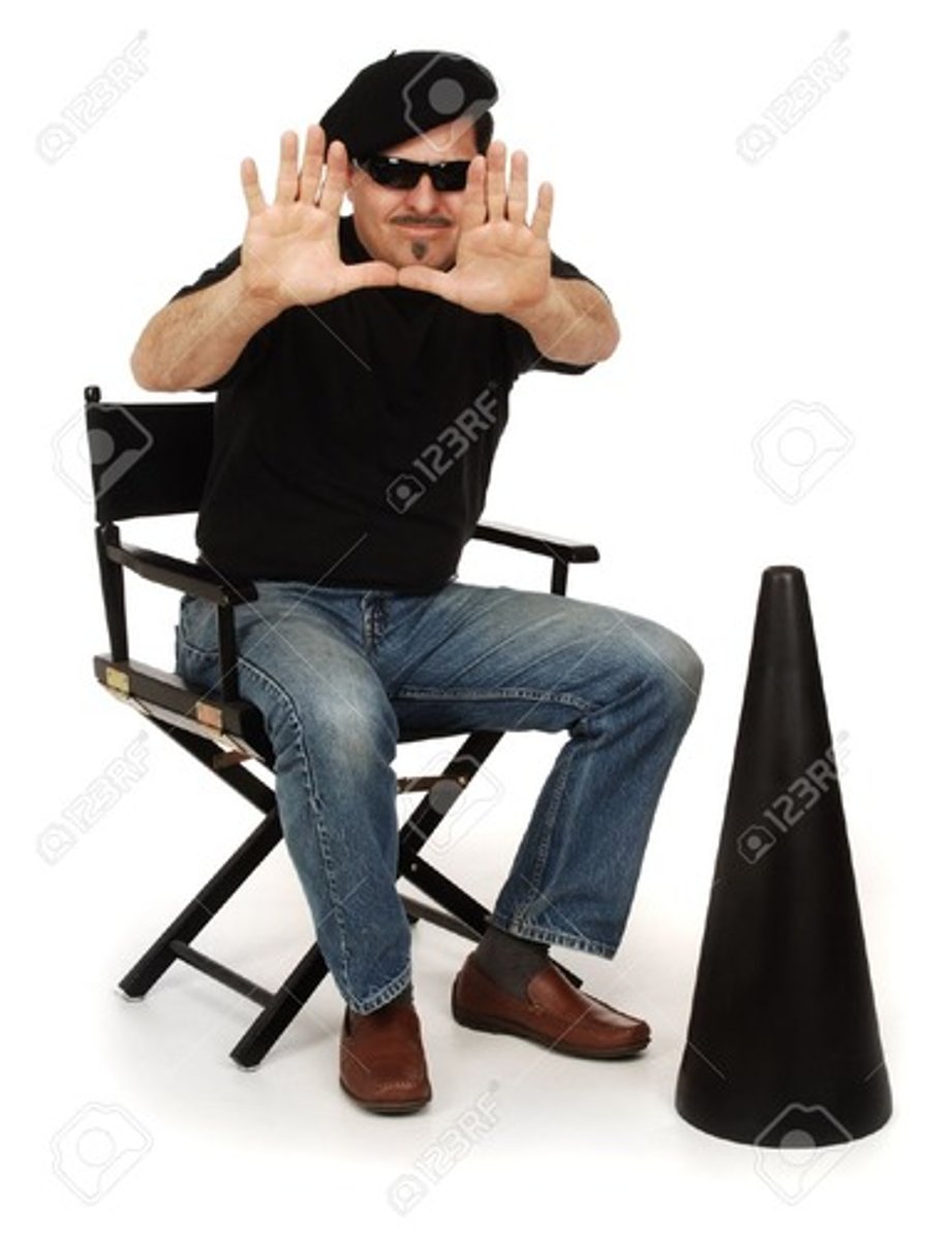 <p>un cinéaste</p>