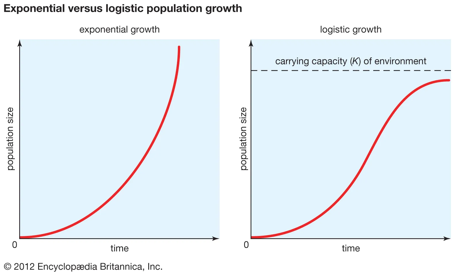 <p>Logistic Growth vs Exponential Growth </p>