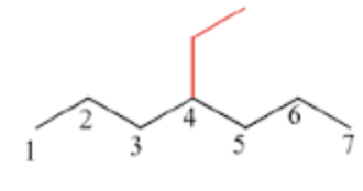 <p>the substituent has 2 carbons</p>