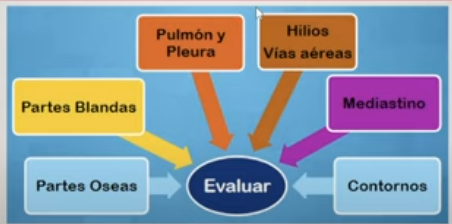 <ol><li><p><strong>Partes blandas y oseas</strong></p></li><li><p><strong>Pulmón, pulmones y mediastino</strong></p></li></ol><p></p>