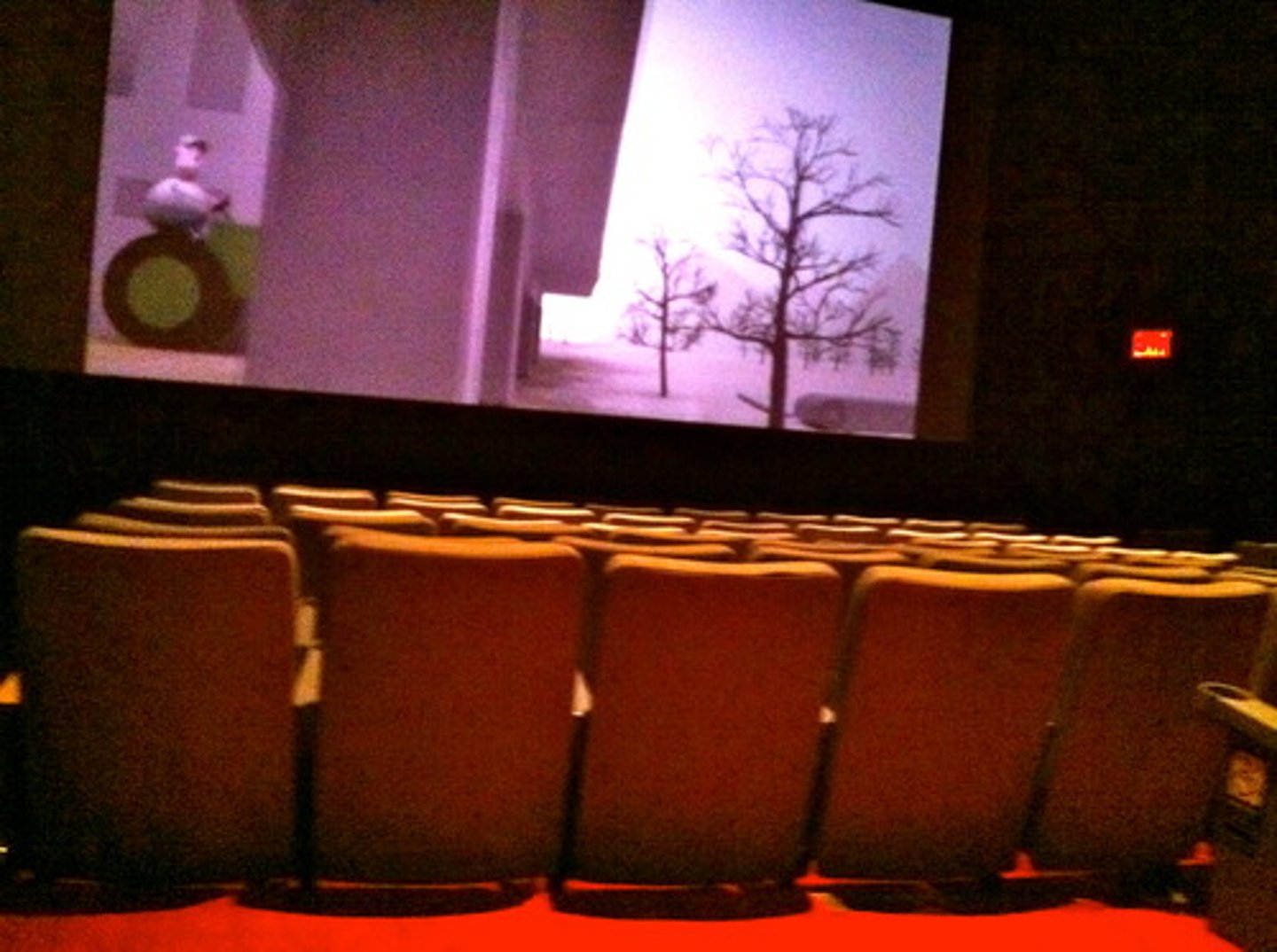 <p>a movie theater</p>