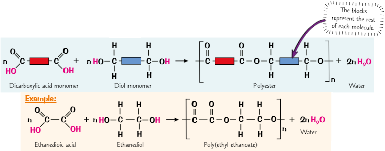 <ul><li><p><em>Formed when </em><strong><em>dicarboxylic acid monomers</em></strong><em> + </em><strong><em>diol monomers </em></strong><em>react together</em></p></li><li><p><strong><em>Dicarboxylic acid monomers</em></strong><em> contain </em><strong><em>2 carboxylic acid </em></strong><em>(-COOH) groups + </em><strong><em>diol monomers</em></strong><em> contain </em><strong><em>2 alcohol </em></strong><em>(-OH) groups</em></p></li><li><p><em>When carboxylic acid group reacts with alcohol group, forms </em><strong><em>ester link</em></strong></p></li><li><p><em>Polyesters are </em><strong><em>condensation polymers</em></strong><em> - each time ester link forms, a molecule of </em><strong><em>water </em></strong><em>is </em><strong><em>lost</em></strong></p></li></ul>