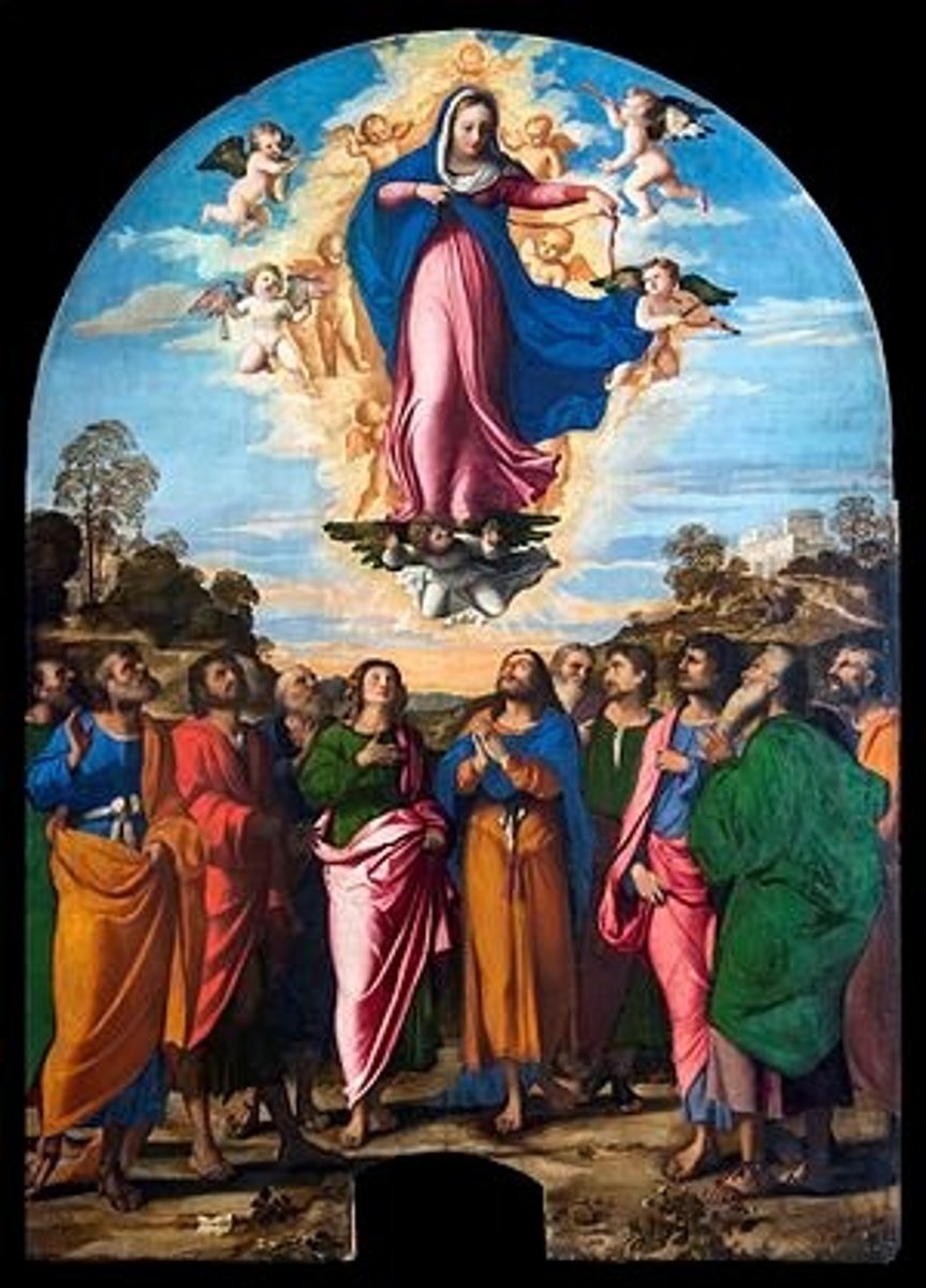 <p>Image</p>