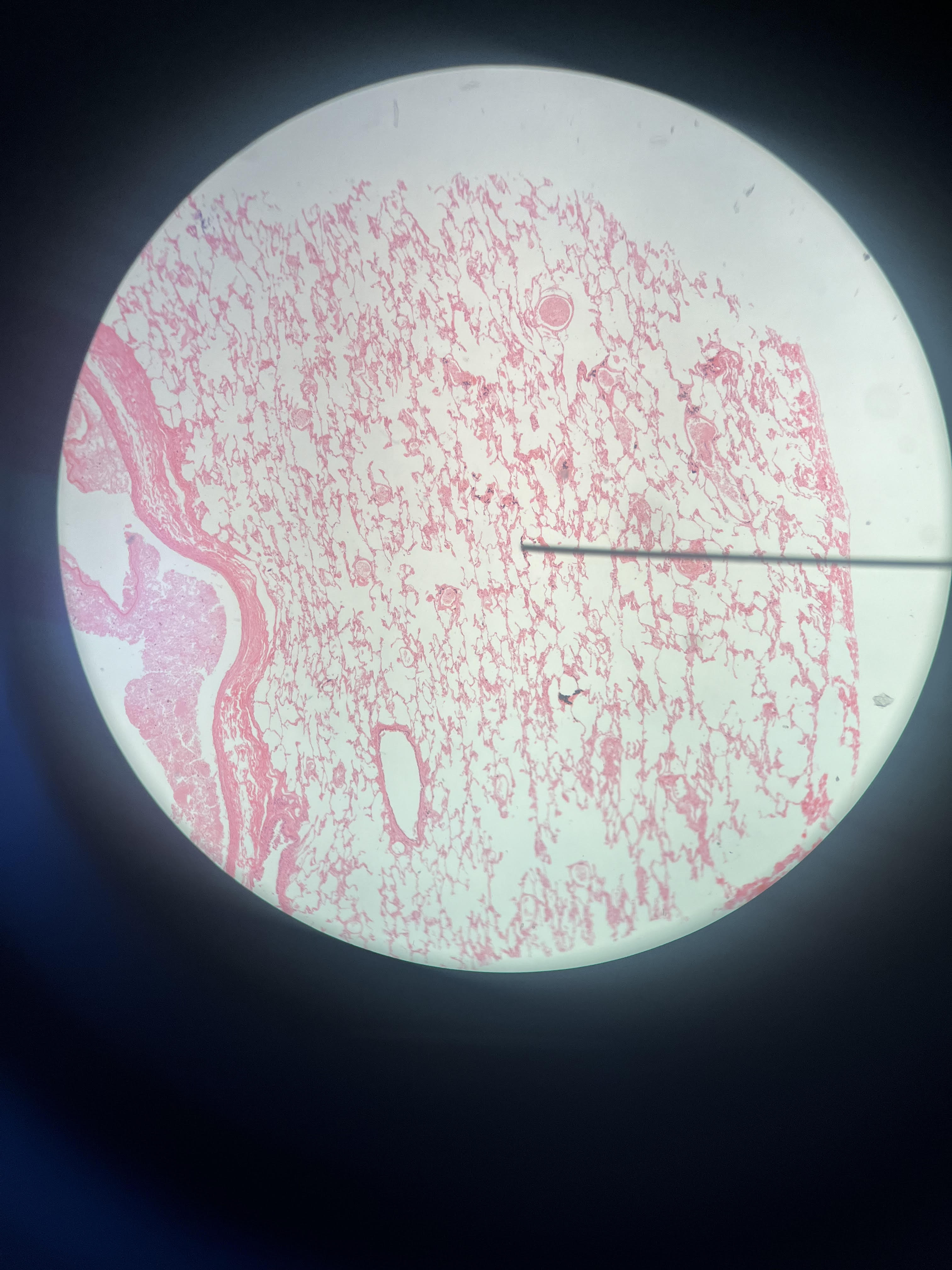 <p>What is this?</p>