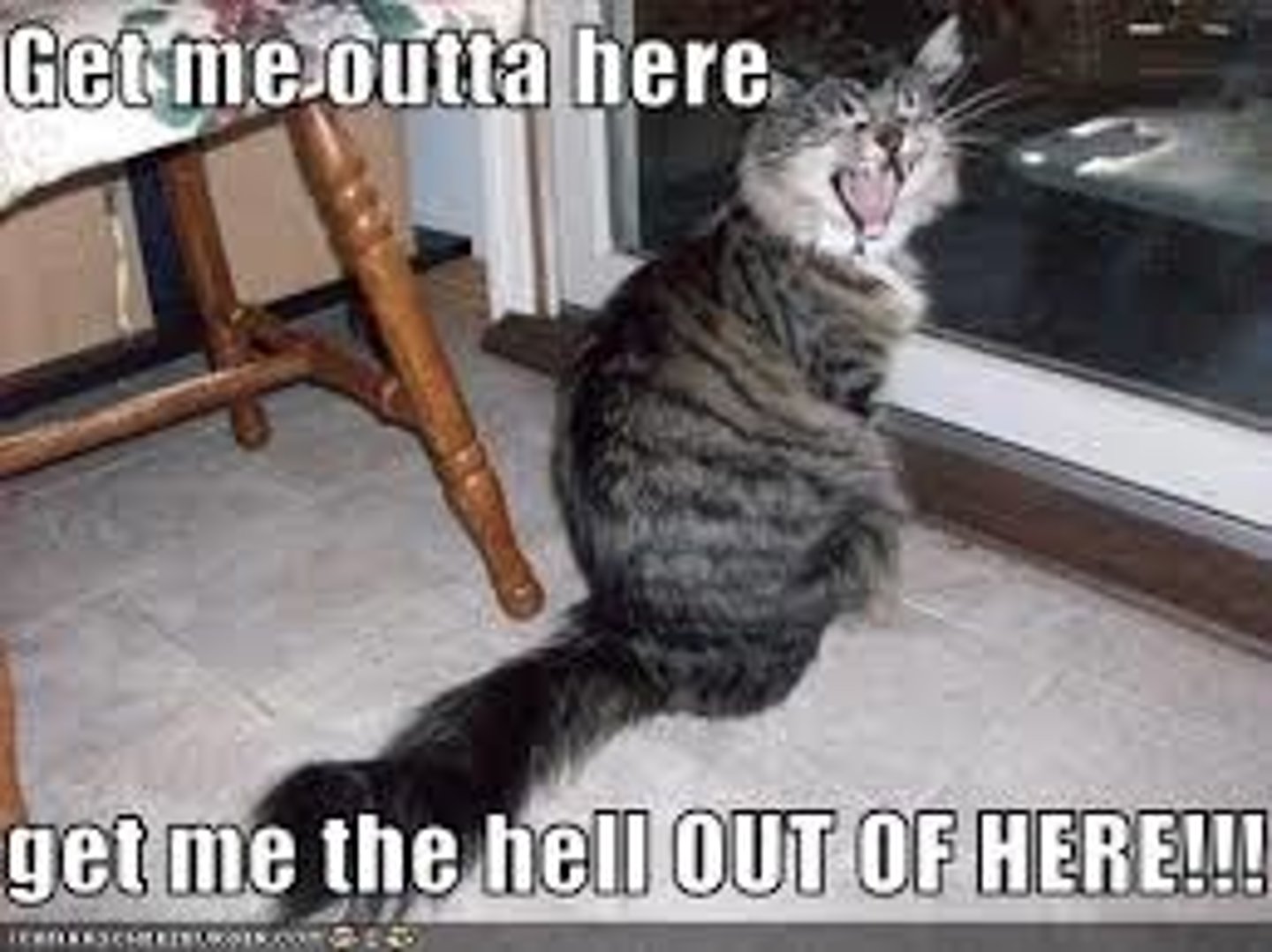 <p>individuals who leave their country of origin to settle in another.</p><p>-Often driven by "push" factors like poverty, conflict, or environmental issues in the home country, and influenced by "pull" factors such as job opportunities, better living conditions, or political stability in the destination country.</p>