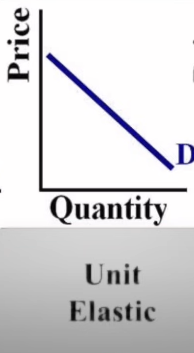 <p>Unit Elastic </p>