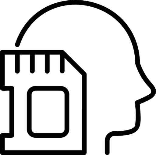 <p>The process of retaining information in the brain or a computer system for later retrieval and use</p>