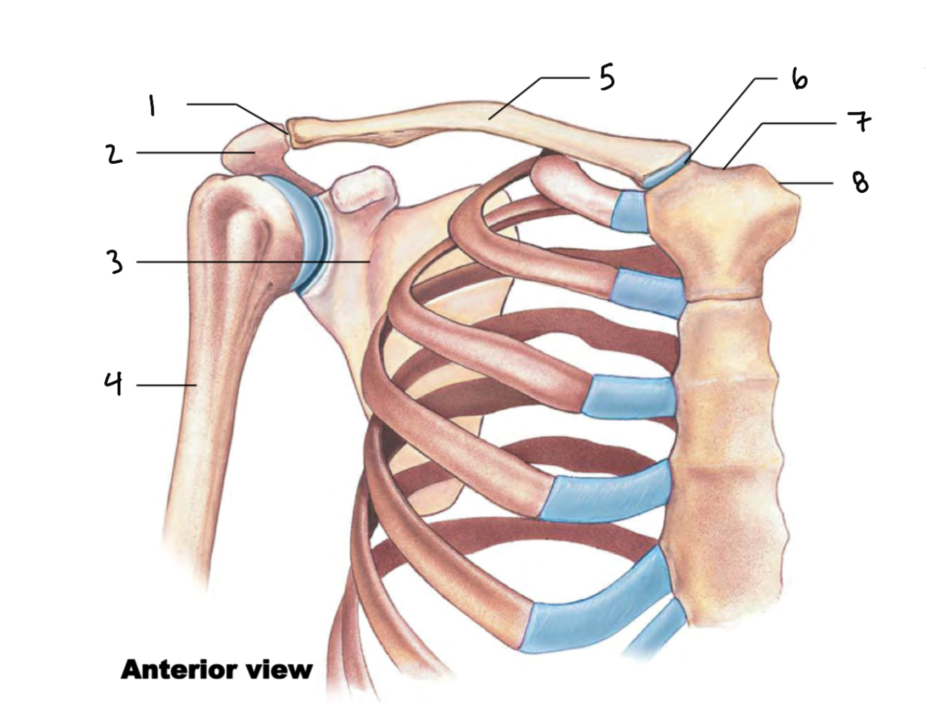 <p>1</p>