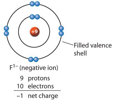 <p>A negativity charged ion, formed by a gain of electrons</p>