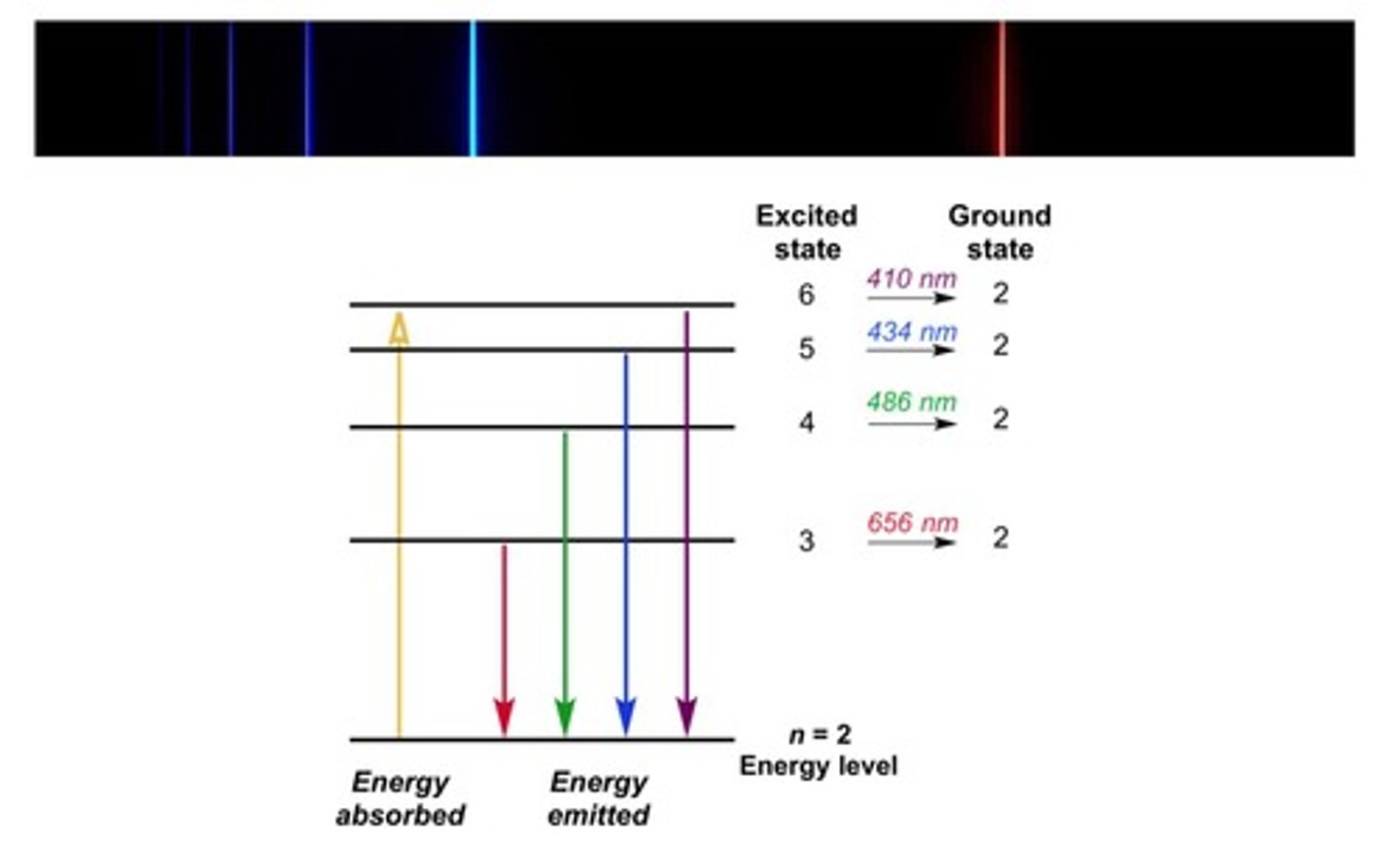 <p>Distinct light bands emitted by excited gas atoms.</p>