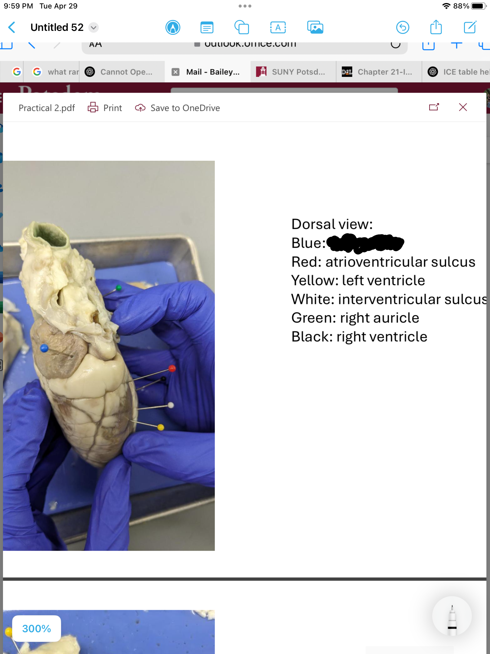 <p>label the area</p>