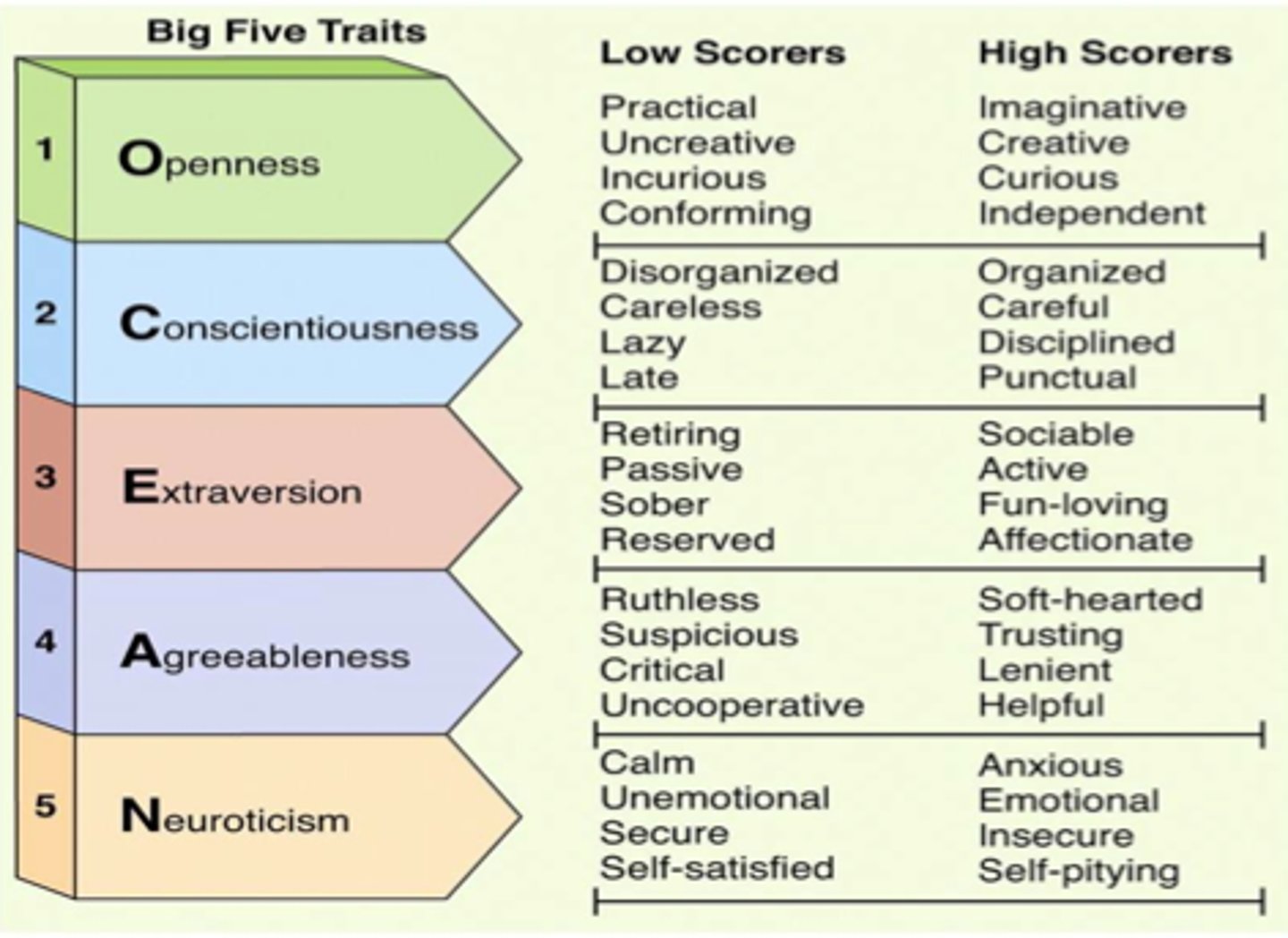 <p>CANOE, (conscientiousness, agreeableness, neuroticism, openness, extraversion)</p>