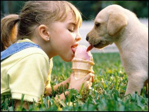 to share