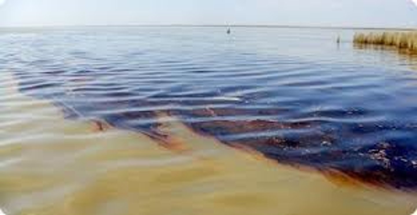 <p>Burning oil produces greenhouse gases which accelerate global warming. Oil spills from tanks/pipes can kill wildlife. Oil production is only in a small amount of countries, meaning they control the prices. Work on oil rigs can be dangerous.</p>