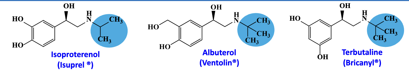 <p>dobutamine, albuterol, isoproterenol, </p>