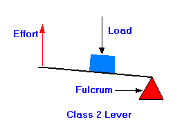 <p><span>between the effort and the fulcrum.</span></p>