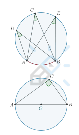 <ol><li><p>Вписанные углы, опирающиеся на одну и ту же дугу, равны.</p></li><li><p>Вписанный угол, опирающийся на диаметр окружности, равен 90°</p></li></ol>