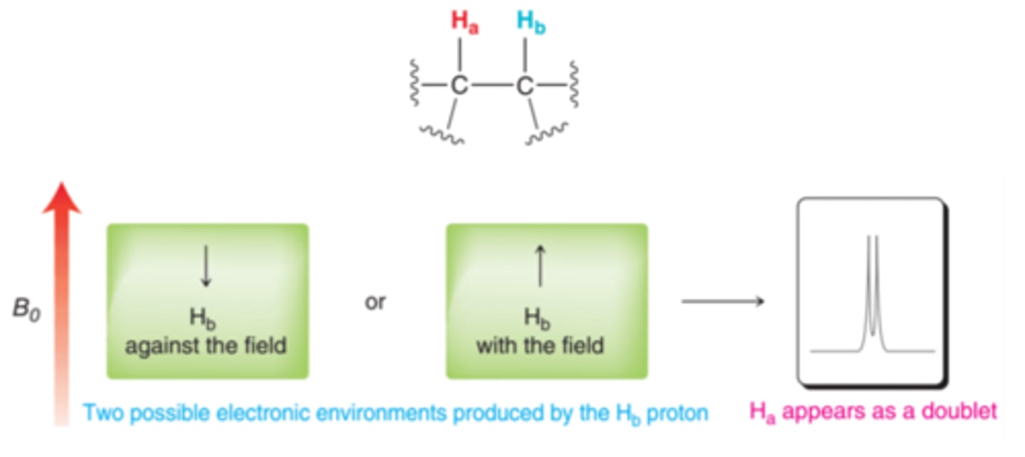 <p>splits into several smaller peaks due to neighboring H that are not chemically equivalent; number of peak splittings is determined by n+1 where n is the number of neighboring H not chemically equivalent</p>